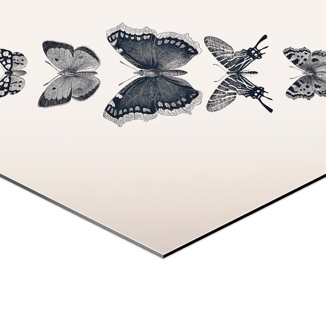 Obrazy na ścianę Motyle z atramentu na beżowym tle