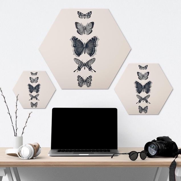 Obraz heksagonalny Motyle z atramentu na beżowym tle