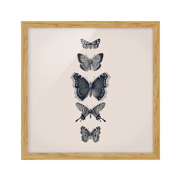 Obrazy w ramie do kuchni Motyle z atramentu na beżowym tle