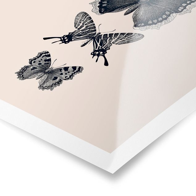 Obraz szary Motyle z atramentu na beżowym tle