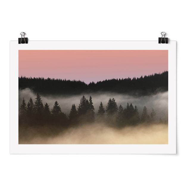 Obraz drzewo Śliczna mgiełka leśna