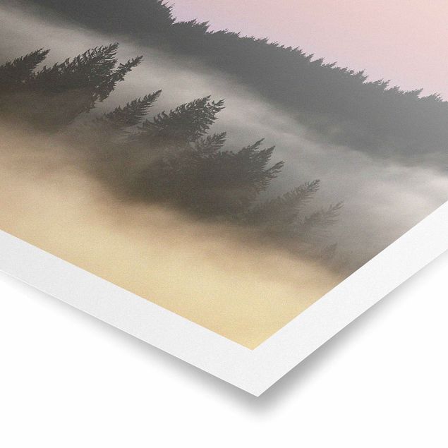 Obrazy krajobraz Śliczna mgiełka leśna