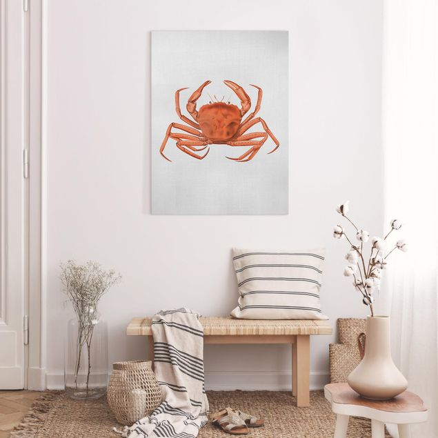 Obrazy nowoczesne Vintage Illustration Red Crab