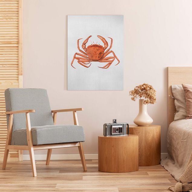 Obrazy morze Vintage Illustration Red Crab