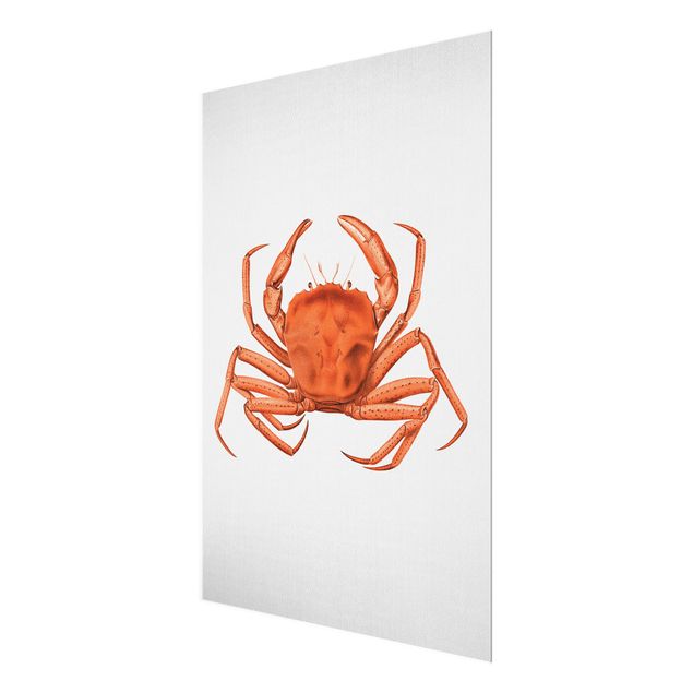 Nowoczesne obrazy do salonu Vintage Illustration Red Crab