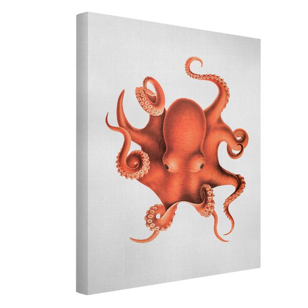 Obrazy krajobraz Vintage Illustration Red Octopus