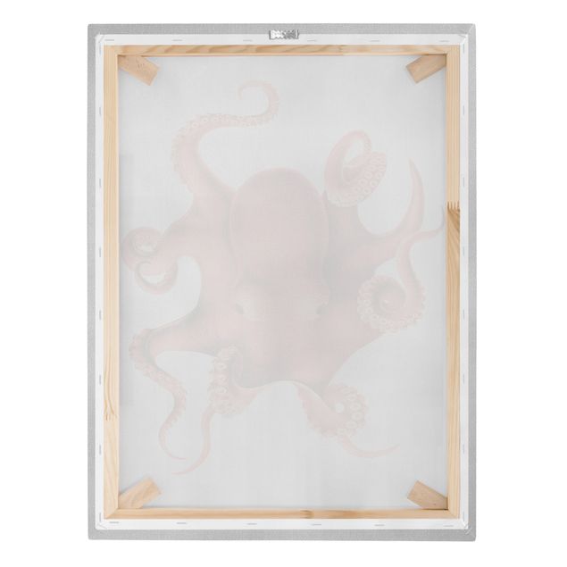Obrazy vintage Vintage Illustration Red Octopus