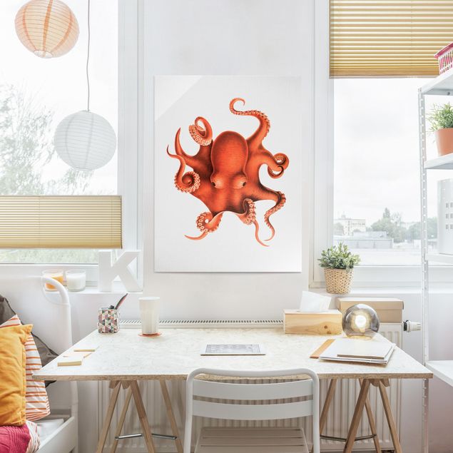 Obrazy na szkle krajobraz Vintage Illustration Red Octopus