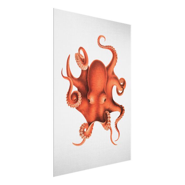 Obrazy na szkle plaża Vintage Illustration Red Octopus