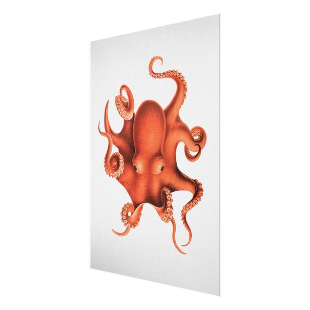 Obrazy do salonu nowoczesne Vintage Illustration Red Octopus