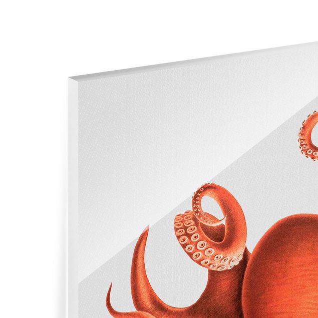 Nowoczesne obrazy Vintage Illustration Red Octopus