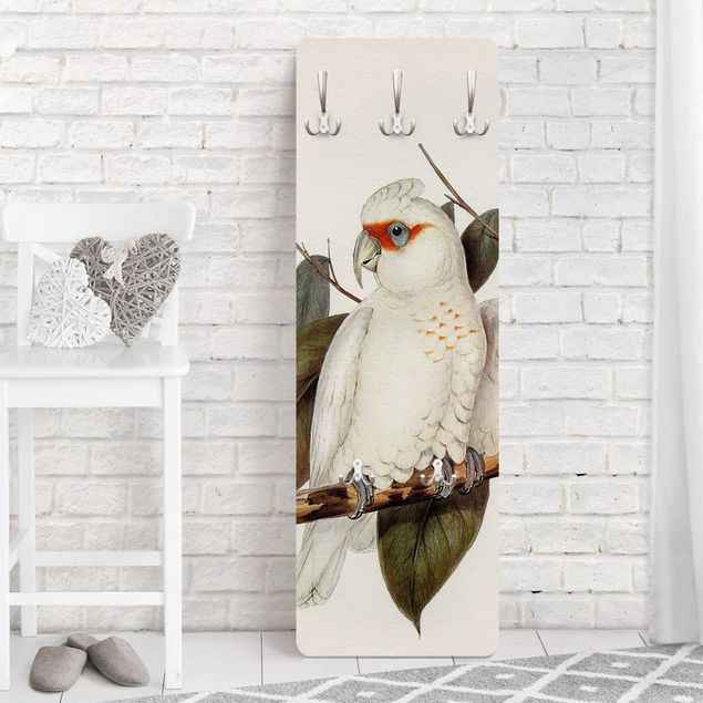 Garderoby Ilustracja w stylu vintage Biały kakadu