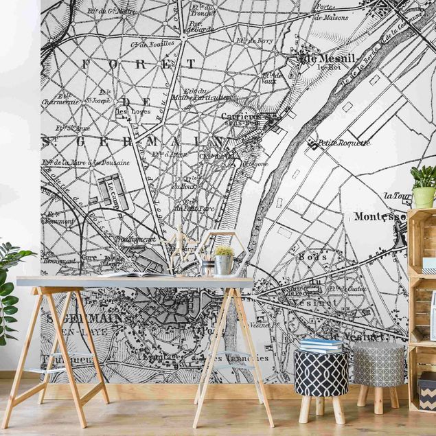 Andrea Haase obrazy  zabytkowa mapa St Germain Paryż