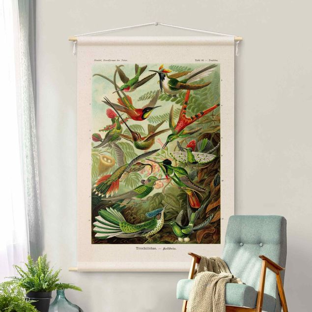 Obrazy do salonu Vintage Teaching Illustration Hummingbirds