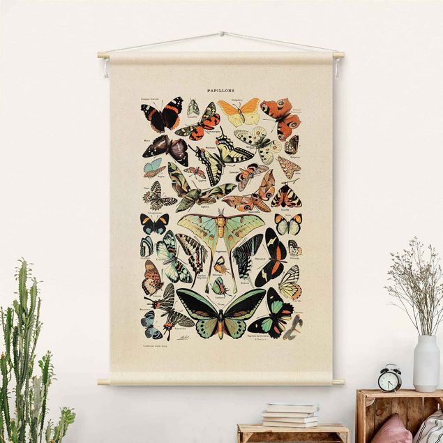 nowoczesny gobelin Vintage Teaching Illustration Butterflies