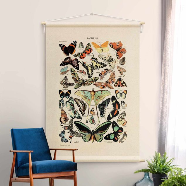 Obrazy do salonu nowoczesne Vintage Teaching Illustration Butterflies
