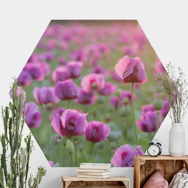 Sześciokątna tapeta samoprzylepna - Fioletowa łąka z makiem opium wiosną
