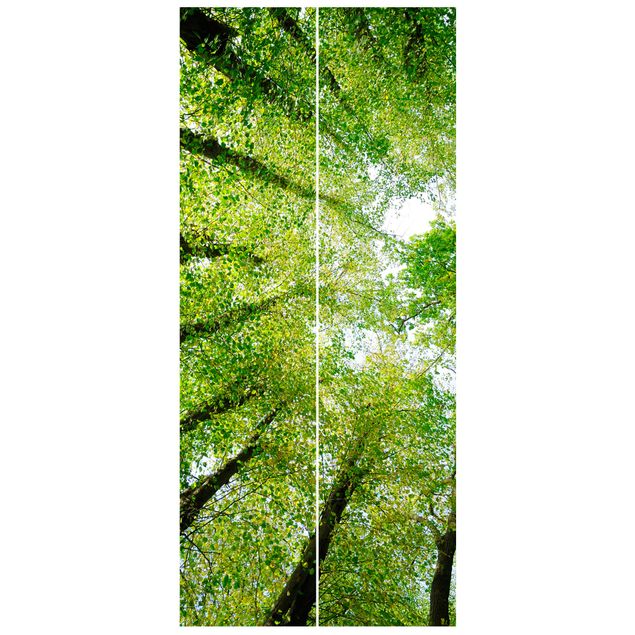 Fototapety 3d Drzewa życia