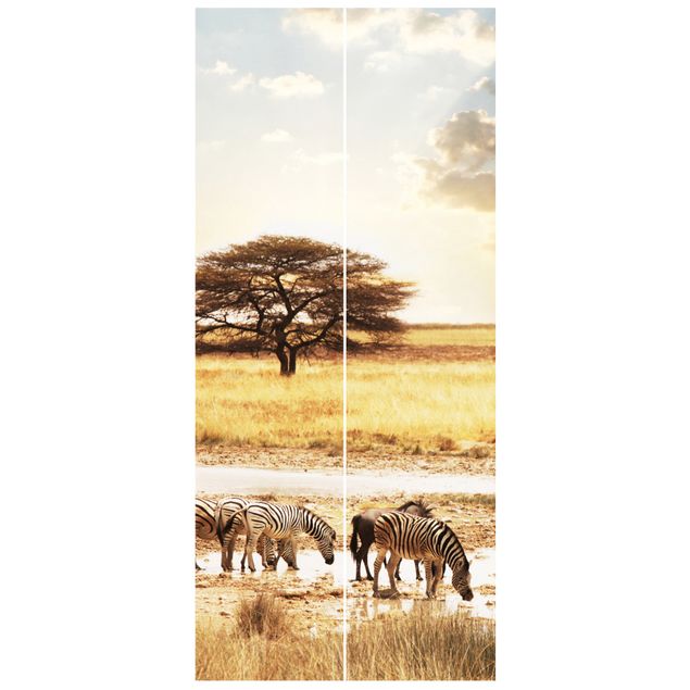 Fototapety krajobraz Życie zebry