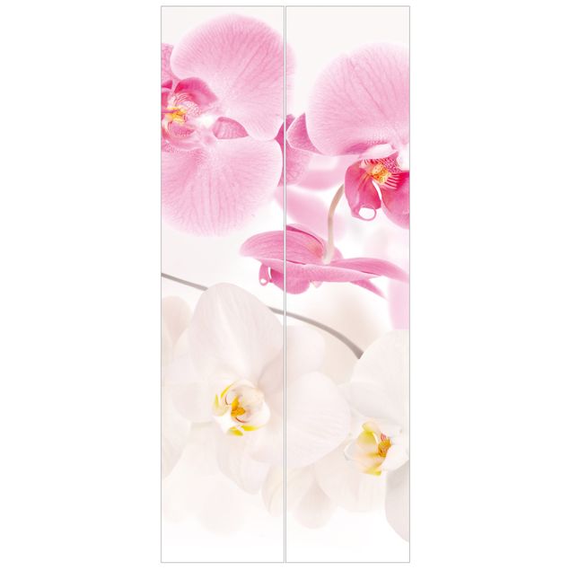 Tapety Delikatne orchidee
