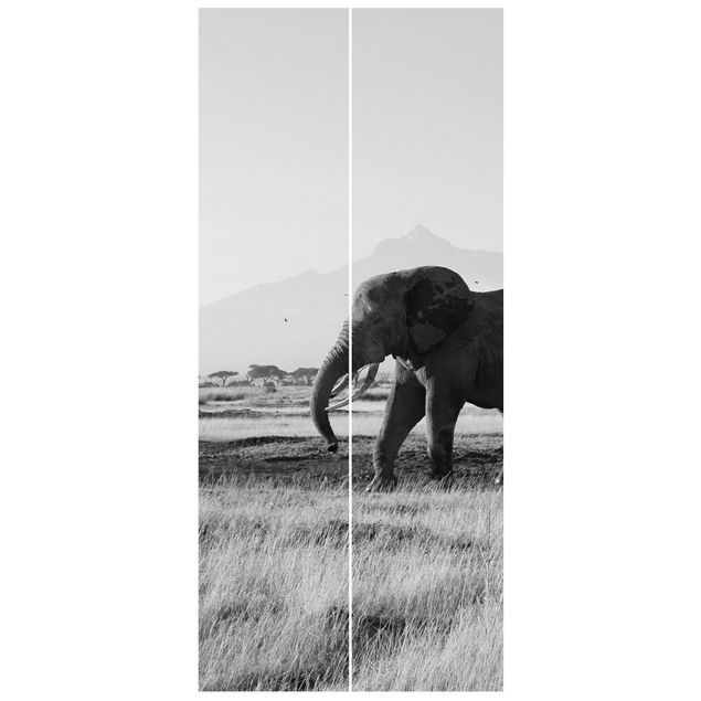 Fototapety afryka Słonie przed Kilimandżaro w Kenii II