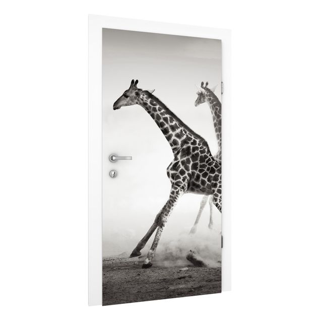 Fototapety żyrafa Polowanie na żyrafę