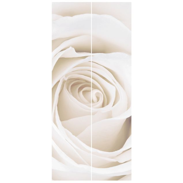 Tapety na ściany Piękna biała róża