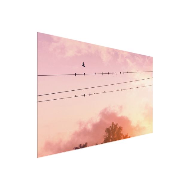 Obrazy na szkle zachód słońca Ptaki na linii energetycznej