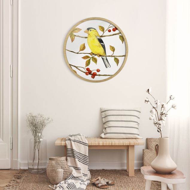 Obrazy w ramie vintage Birds And Berries - American Goldfinch