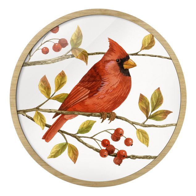 Obrazy w ramie vintage Birds And Berries - Northern Cardinal