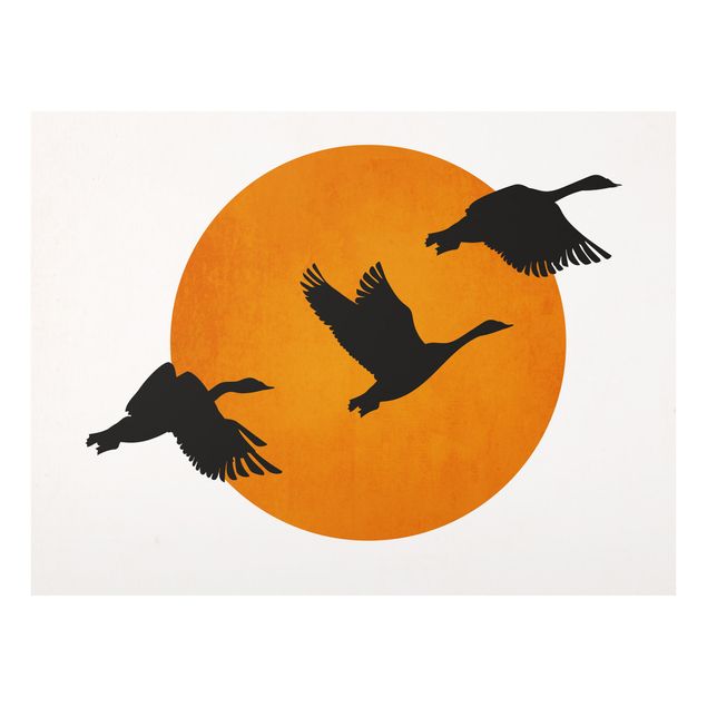 Obrazy na szkle zwierzęta Ptaki na tle czerwonego słońca