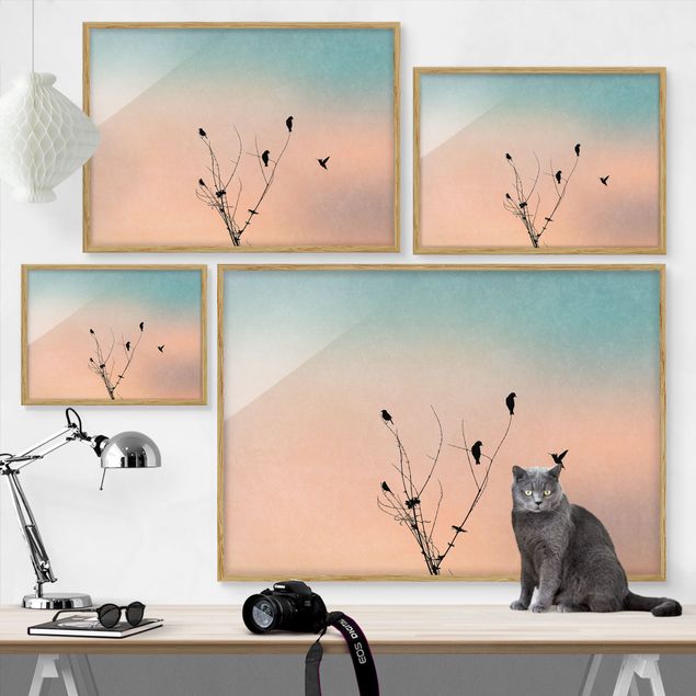 Obrazy w ramie do kuchni Ptaki na tle różowego słońca II