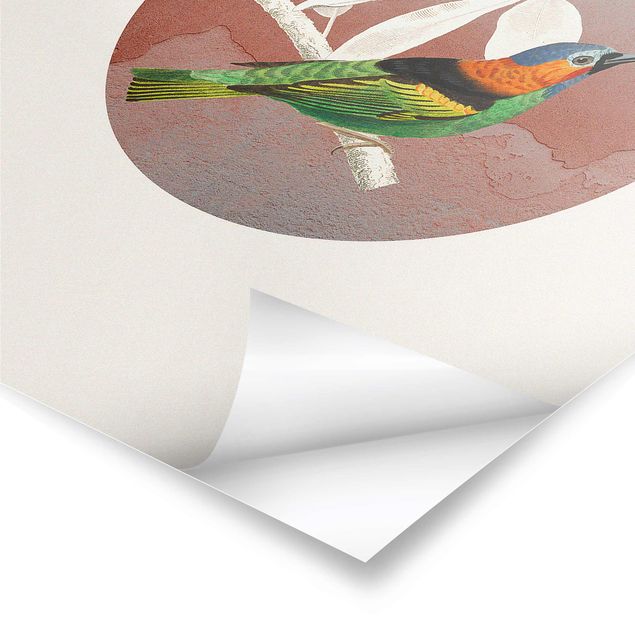 Obrazy Kolaż z ptakami w kole II