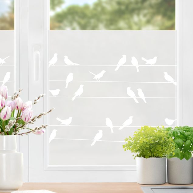 Folia okienna do salonu Flock Of Birds