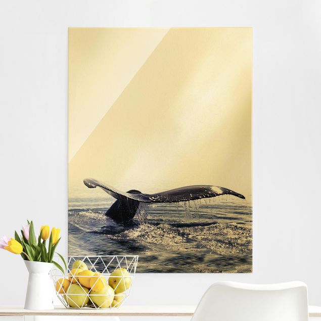 Obraz na szkle - Pieśń wieloryba na Islandii
