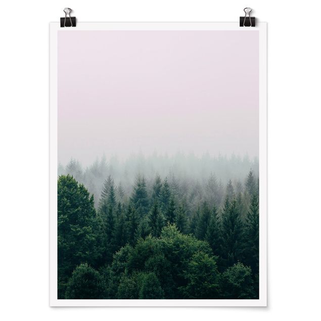 Drzewo obraz Las o zmierzchu we mgle
