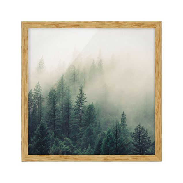 Obrazy w ramie do łazienki Las we mgle Przebudzenie