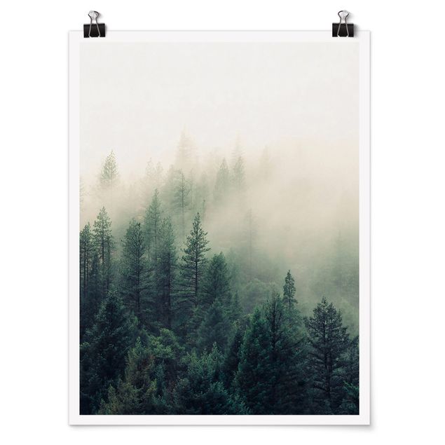 Obraz drzewo Las we mgle Przebudzenie