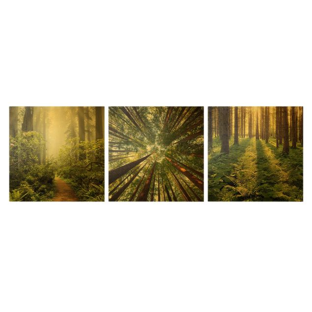 Obrazy krajobraz Trio leśne