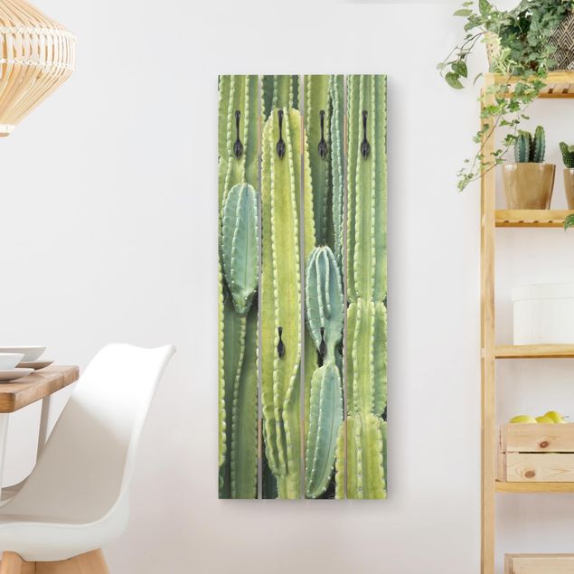 Garderoby Ściana kaktusów