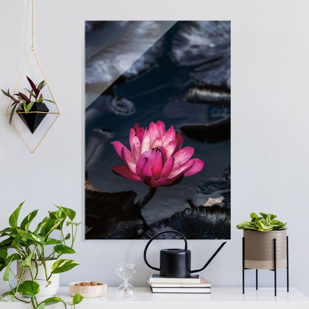 Obrazy na szkle portret Water lilies