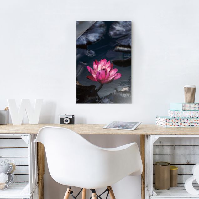 Obrazy nowoczesne Water lilies