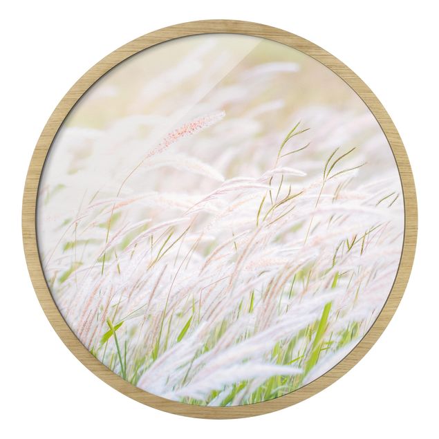 Obrazy kwiatowe Soft Grasses