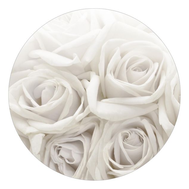 Fototapety kwiaty Białe róże
