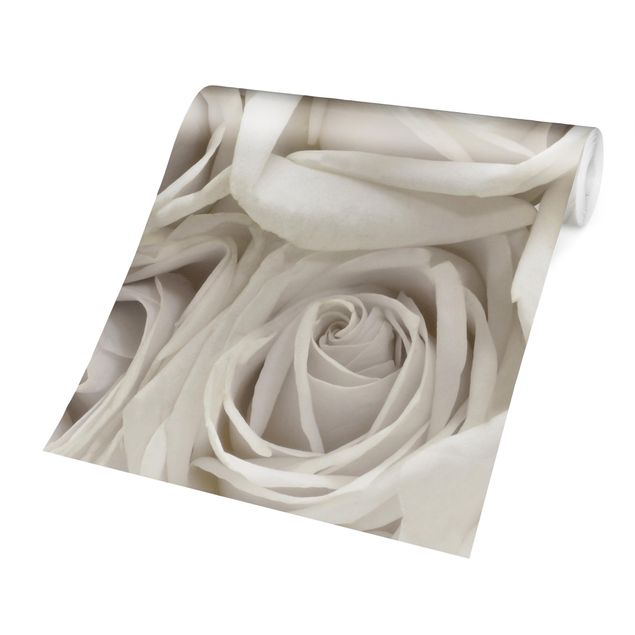 Tapety Białe róże