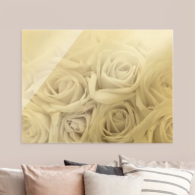 Obraz na szkle - Białe róże