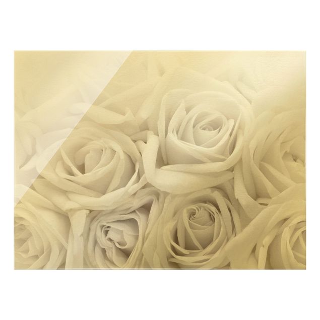 Obraz na szkle - Białe róże