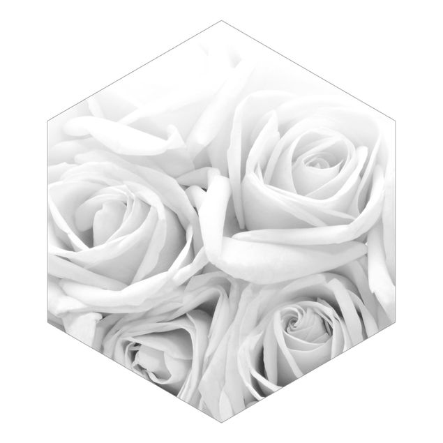 Fototapety Białe róże w czerni i bieli