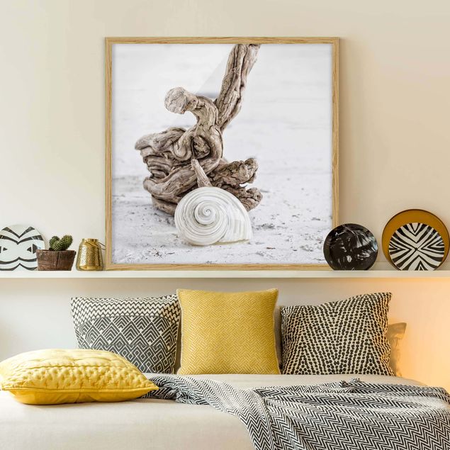 Obrazy w ramie plaża Biała skorupa ślimaka i drewno korzeniowe
