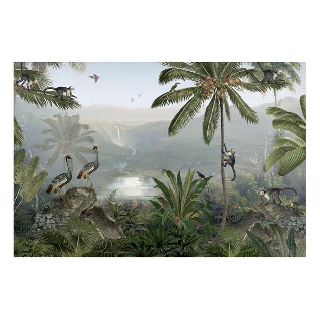 Obrazy nowoczesny Daleki widok w głąb dżungli